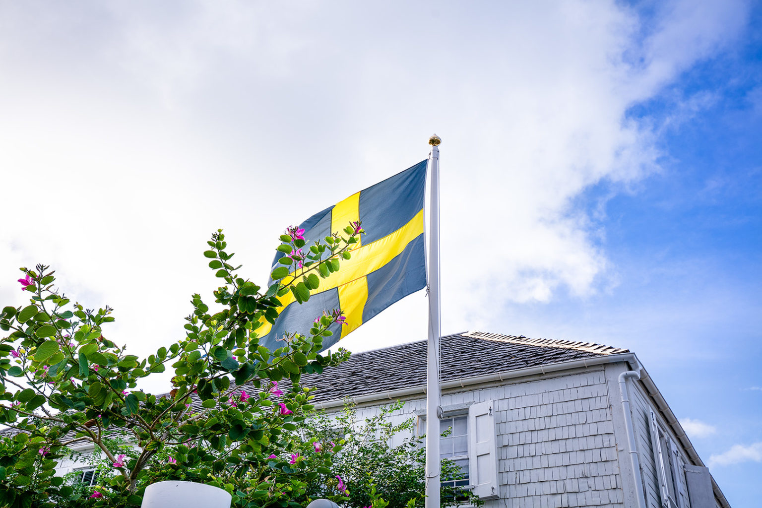 Piteå Day - Caribbean Events