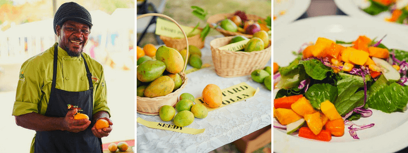 Caribbean Food Festivals and Culinary Events - Nevis Mango Festival